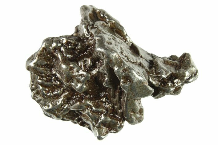 Campo del Cielo Iron Meteorite ( g) Nugget - Argentina #287798